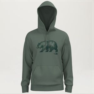 The north face hoodie pullover